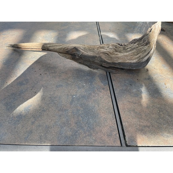 Natural Driftwood for Plants Terrarium Taxidermy Art Projects - Picture 2 of 5